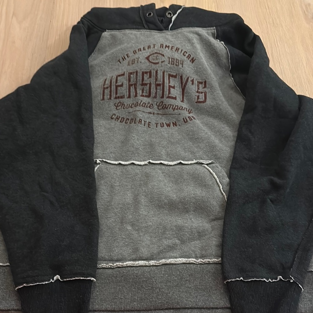 Grey Hershey hoodie